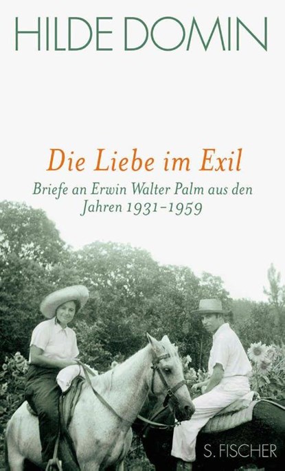 Die Liebe im Exil, Hilde Domin - Gebonden - 9783100153425