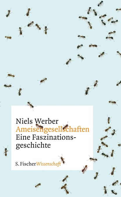 Ameisengesellschaften, Niels Werber - Gebonden - 9783100912121