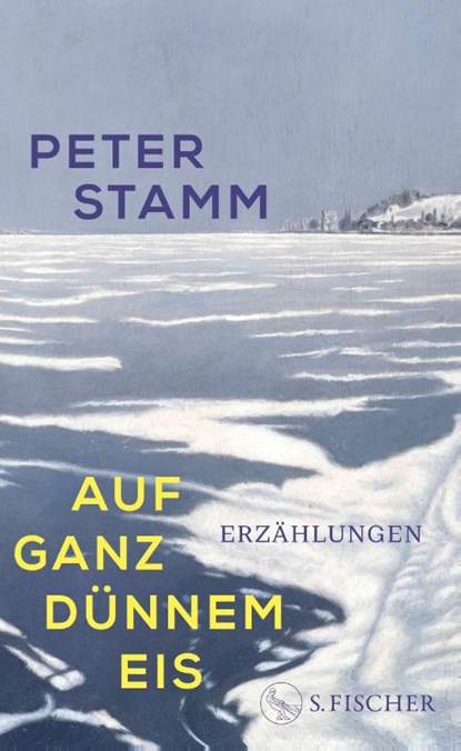 Auf ganz dünnem Eis, Peter Stamm - Gebonden - 9783103971279
