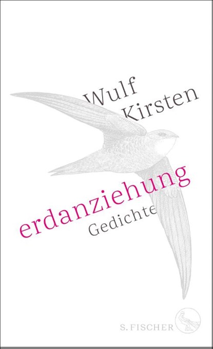 Erdanziehung, Wulf Kirsten - Gebonden - 9783103974294
