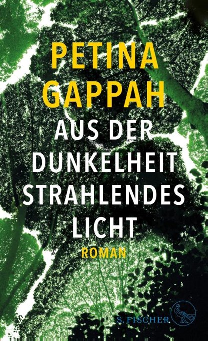 Aus der Dunkelheit strahlendes Licht, Petina Gappah - Gebonden - 9783103974492