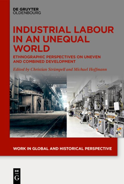 Industrial Labour in an Unequal World, Christian Strumpell ; Michael Hoffmann - Gebonden - 9783111304267