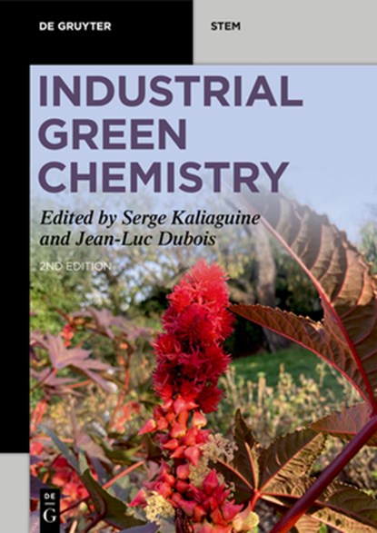 Industrial Green Chemistry, Serge Kaliaguine - Paperback - 9783111383408