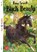 Black Beauty, Anna Sewell - Paperback - 9783125145047