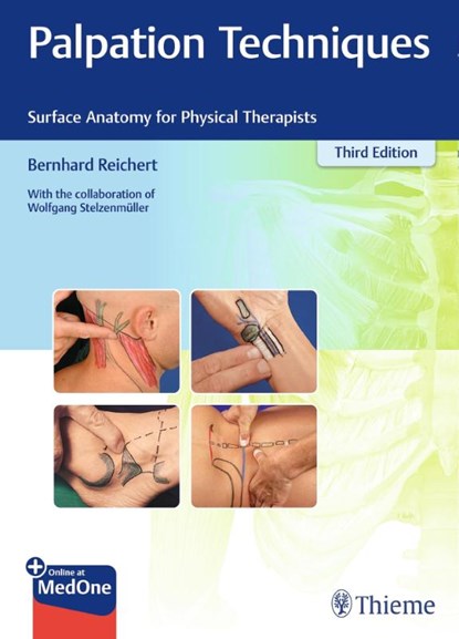 Palpation Techniques, Bernhard Reichert ; Wolfgang Stelzenmuller - Paperback - 9783132429871