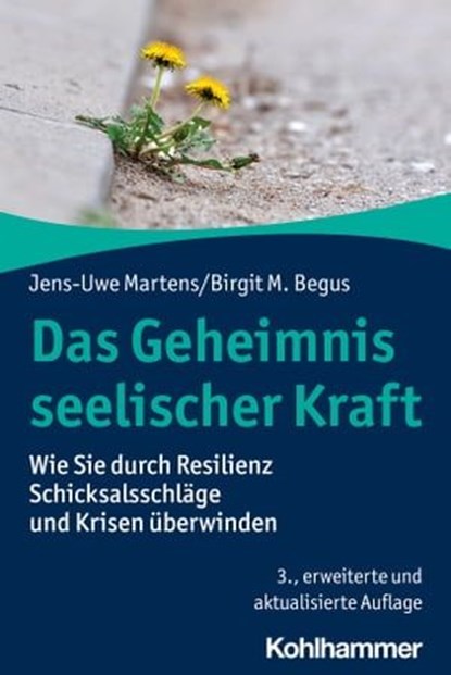 Das Geheimnis seelischer Kraft, Jens-Uwe Martens ; Birgit M. Begus - Ebook - 9783170423497