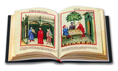 Tacuinum Sanitatis in Medicina, Franz Unterkircher - Gebonden - 9783201018319