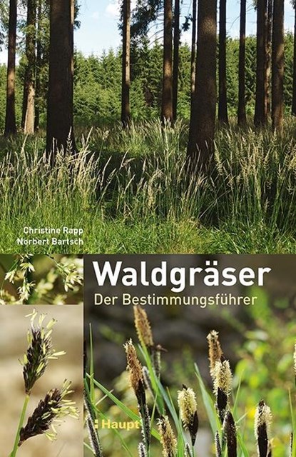 Waldgräser, Christine Rapp ; Norbert Bartsch - Gebonden - 9783258079578