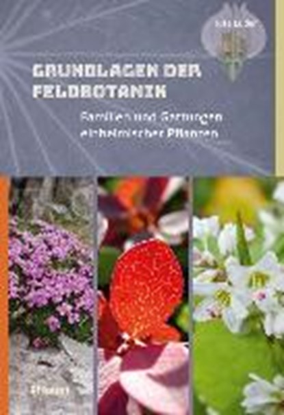 Grundlagen der Feldbotanik, LÜDER,  Rita - Gebonden - 9783258080468