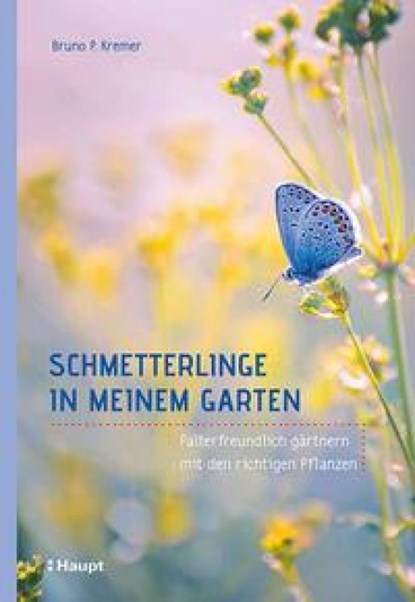Schmetterlinge in meinem Garten, Bruno P. Kremer - Paperback - 9783258080543