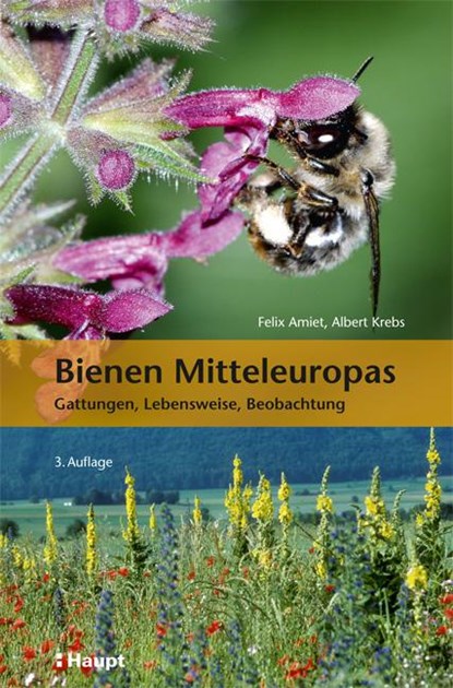 Bienen Mitteleuropas, Felix Amiet ;  Albert Krebs ;  Andreas Müller - Paperback - 9783258081045