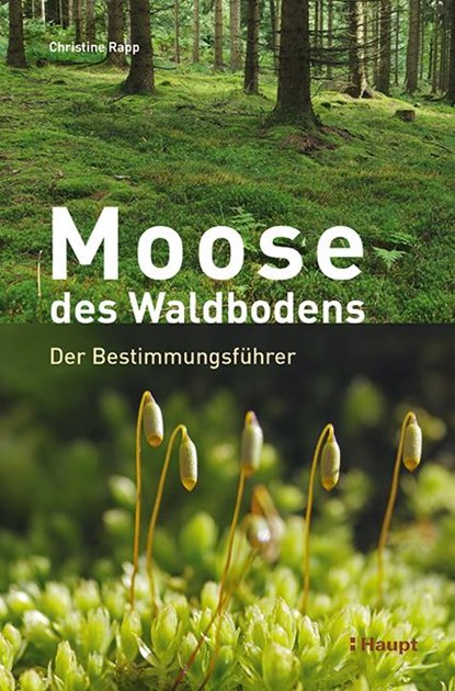 Moose des Waldbodens, Christine Rapp - Gebonden - 9783258081397