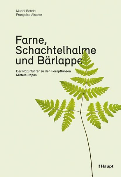 Farne, Schachtelhalme und Bärlappe, Muriel Bendel ; Françoise Alsaker - Paperback - 9783258081731