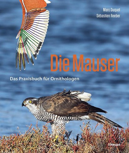Die Mauser, Marc Duquet ; Sébastien Reeber - Paperback - 9783258082059