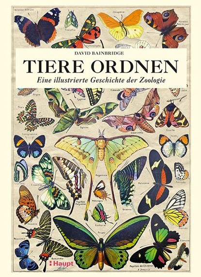 Tiere ordnen, David Bainbridge - Gebonden - 9783258082295