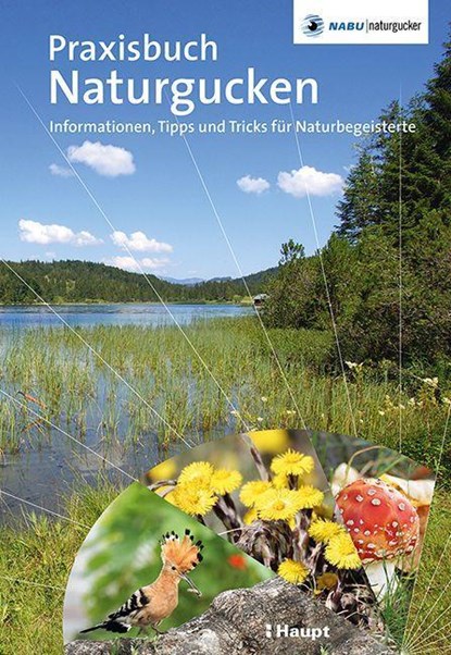 Praxisbuch Naturgucken, Stefan Munzinger ;  Gaby Schulemann-Maier - Gebonden - 9783258082660