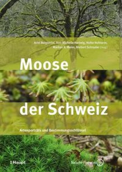 Moose der Schweiz, Ariel Bergamini ; Ann-Michelle Hartwig ; Heike Hofmann - Paperback - 9783258083018