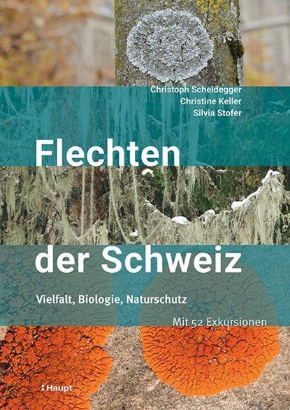Flechten der Schweiz, Christoph Scheidegger ; Silvia Stofer ; Christine Keller - Paperback - 9783258083094