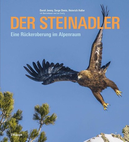 Der Steinadler, David Jenny ; Serge Denis ; Heinrich Haller - Gebonden - 9783258083612