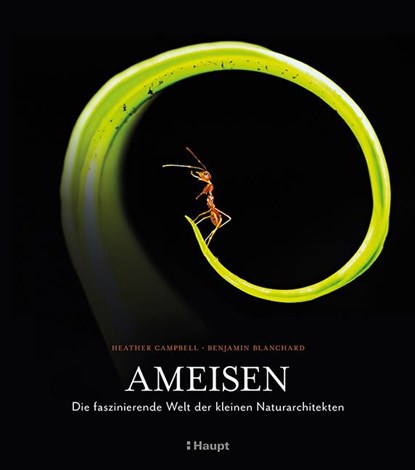 Ameisen, Heather Campbell ; Benjamin Blanchard - Gebonden - 9783258083742