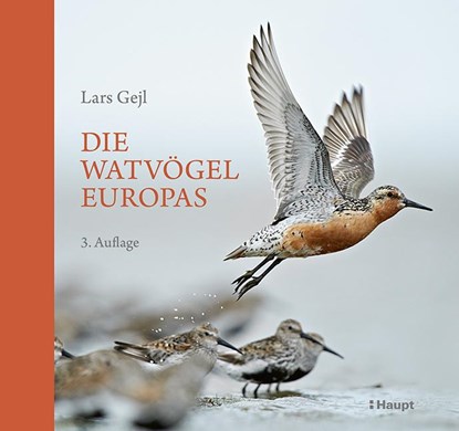 Die Watvögel Europas, Lars Gejl - Gebonden - 9783258083919