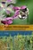 Bienen Mitteleuropas, Felix Amiet ; Albert Krebs ; Andreas Müller - Gebonden - 9783258084312