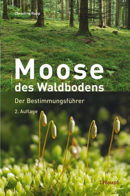 Moose des Waldbodens, Christine Rapp - Gebonden - 9783258084541