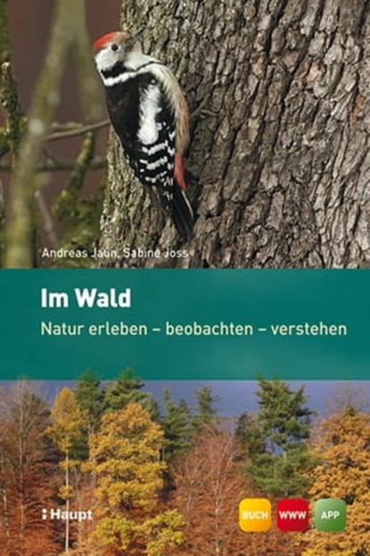 Im Wald, Andreas Jaun ; Sabine Joss - Ebook - 9783258475905
