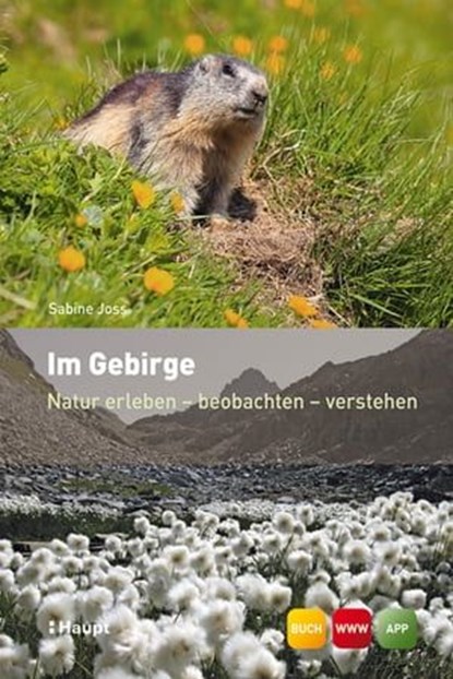 Im Gebirge, Sabine Joss - Ebook - 9783258476742