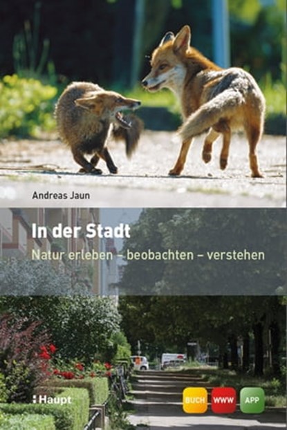 In der Stadt, Andreas Jaun - Ebook - 9783258477183
