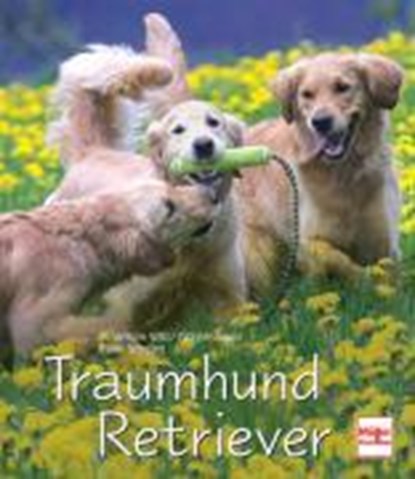 Traumhund Retriever, WILD,  Rosemarie - Gebonden - 9783275015610