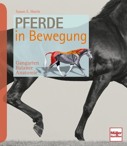 Pferde in Bewegung, Susan E. Harris - Gebonden - 9783275020300