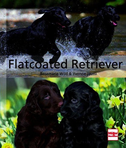 Flatcoated Retriever, Rosemarie Wild ; Yvonne Jaussi - Paperback - 9783275023646