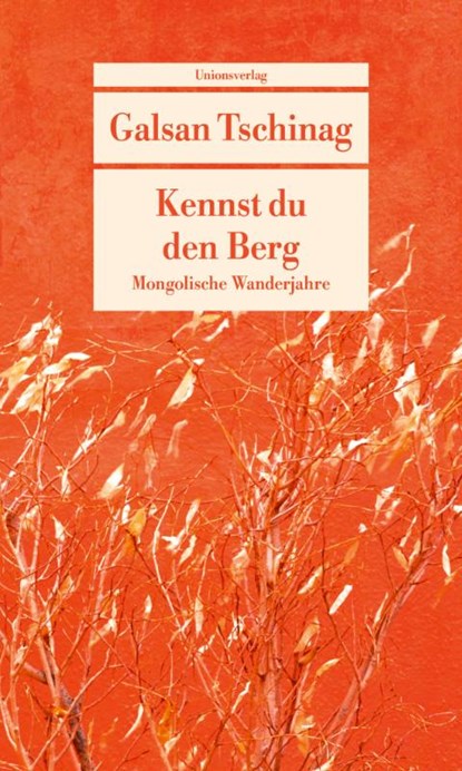 Kennst du den Berg, Galsan Tschinag - Paperback - 9783293710207