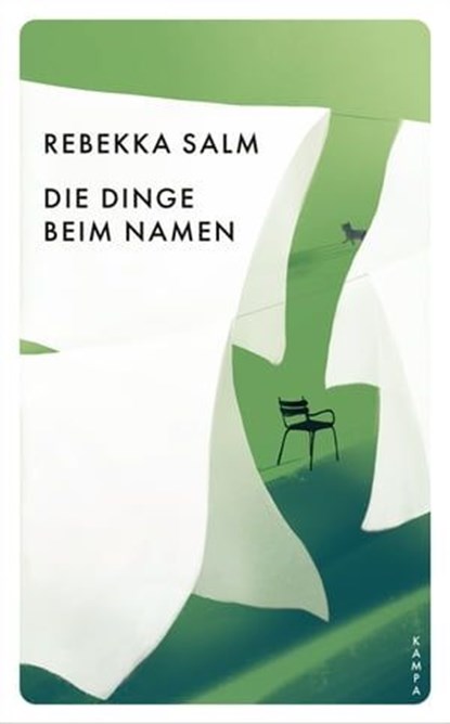 Die Dinge beim Namen, Rebekka Salm - Ebook - 9783311704911