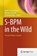 S-BPM in the Wild, FLEISCHMANN,  Albert ; Schmidt, Werner ; Stary, Christian - Gebonden - 9783319175416