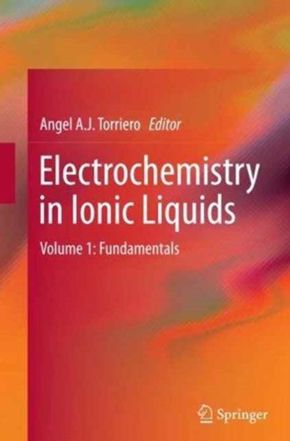 Electrochemistry in Ionic Liquids, niet bekend - Paperback - 9783319349992