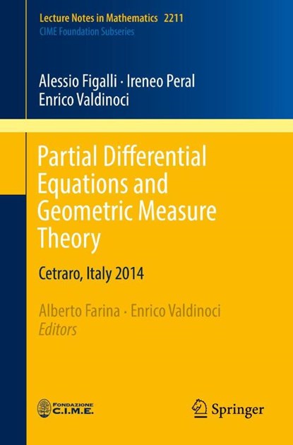 Partial Differential Equations and Geometric Measure Theory, Alessio Figalli ; Ireneo Peral ; Enrico Valdinoci - Paperback - 9783319740416