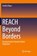 REACH Beyond Borders, Ondrej Filipec - Paperback - 9783319853345