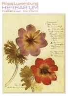 Herbarium Postkartenset | Rosa Luxemburg | 