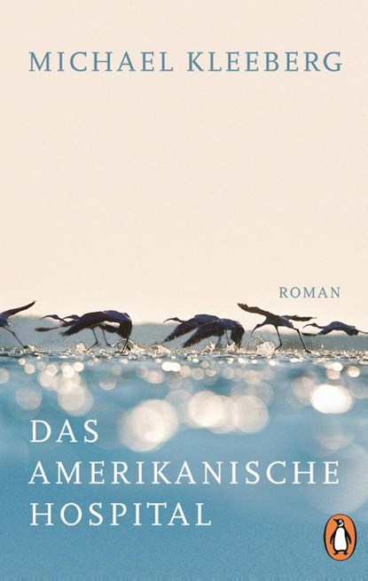Das amerikanische Hospital, Michael Kleeberg - Paperback - 9783328100843