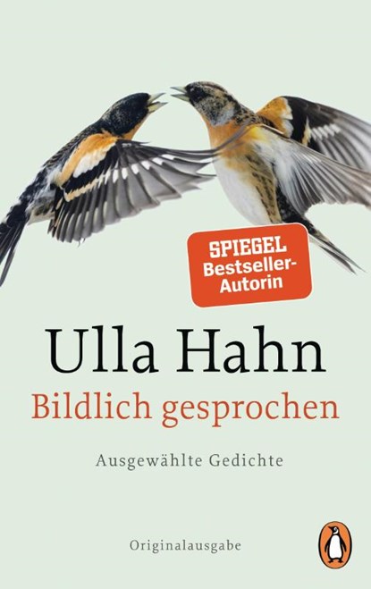 Bildlich gesprochen, Ulla Hahn - Paperback - 9783328104629