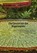 Die Geschichte des Regenwaldes, Horst Schäfer - Paperback - 9783347893191
