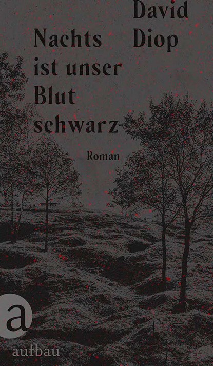 Nachts ist unser Blut schwarz, David Diop - Gebonden - 9783351037918