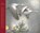 Lüttenweihnachten, Hans Fallada - Gebonden - 9783351039103