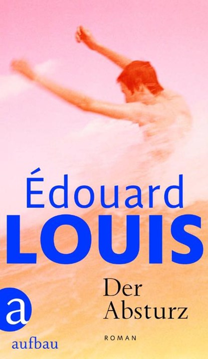 Der Absturz, Édouard Louis - Gebonden - 9783351039578