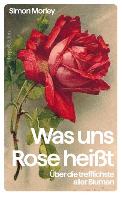 Was uns Rose heißt. Über die trefflichste aller Blumen, Simon Morley - Gebonden - 9783365005217