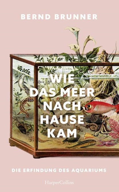 Wie das Meer nach Hause kam. Die Erfindung des Aquariums, Bernd Brunner - Gebonden - 9783365009000