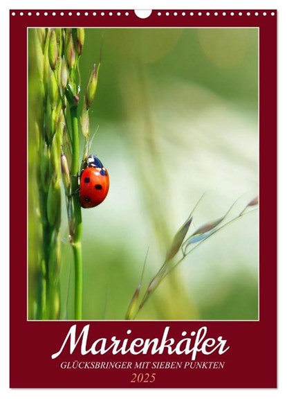 Marienkäfer, Glücksbringer mit sieben Punkten (Wandkalender 2025 DIN A3 hoch), CALVENDO Monatskalender, Sabine Löwer - Paperback - 9783383792557