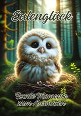 Eulenglück - Ela Artjoy - 9783384168511